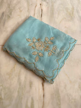 Pure chiffon and organza handwork saree