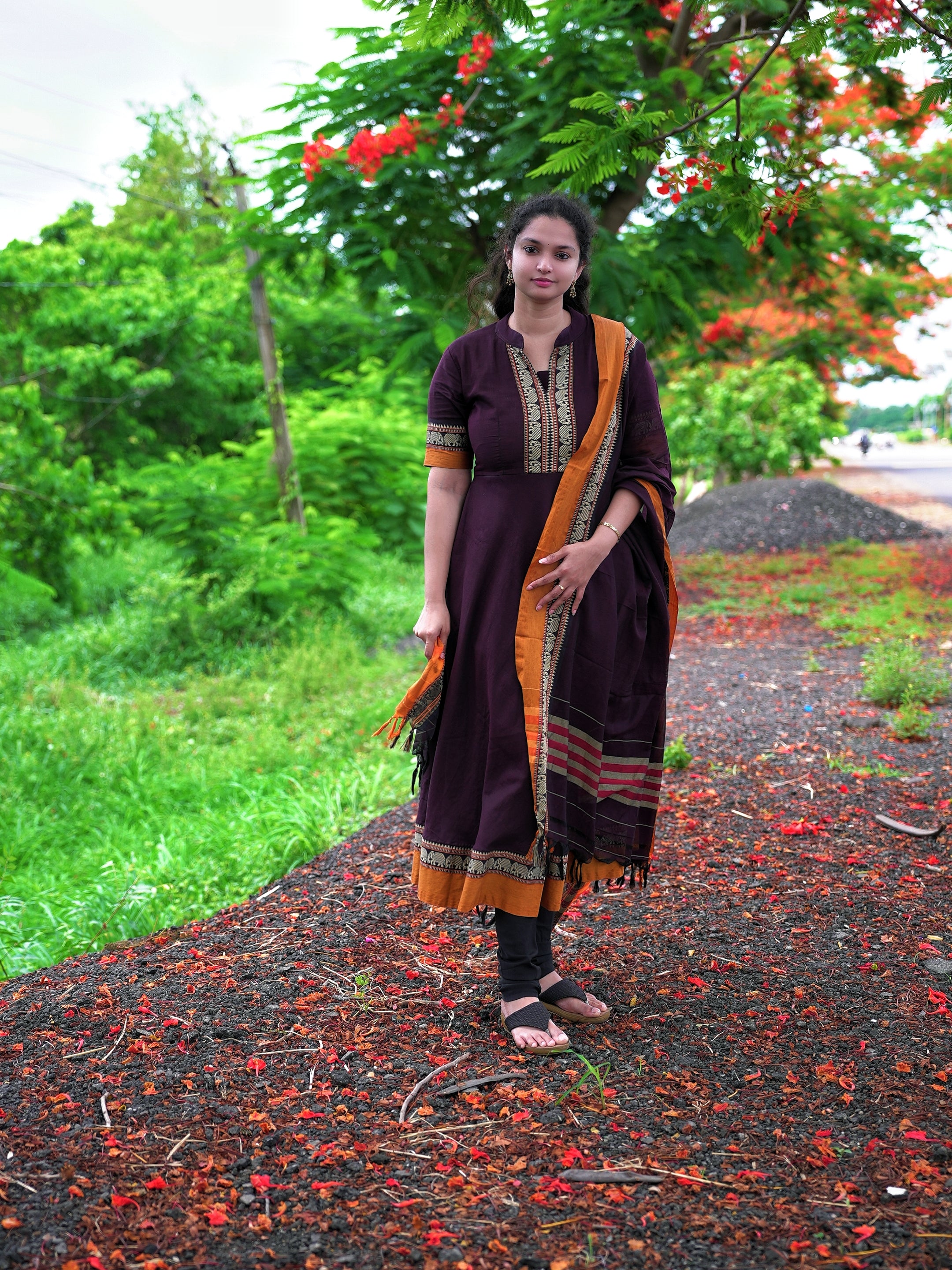 Narayanpeta Elephant Big boarder dress material