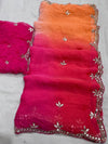 Najbern chiffon handwork saree