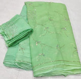Chiffon pure jaal handwork saree