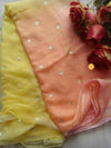 Chiffon patra work saree