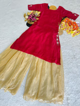 Indo western stylish outfit