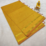 Kalyani Vintage Checked gap boarder saree