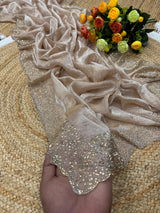 Space silk Diamond work saree