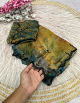 Space silk digital print handwork saree