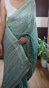 Kareena Kapoor inspired multi shade saree