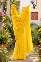Mul Cotton gini work saree