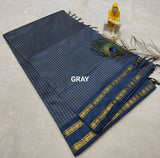Kalyani Vintage Checked gap boarder saree