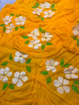 Chiffon handpaint kardhana work saree
